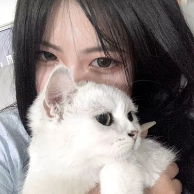 战纪手机版下载