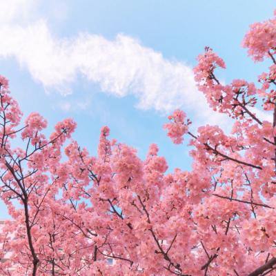 秘海编年史手机版(暂未上线)v1.0.1 安卓版