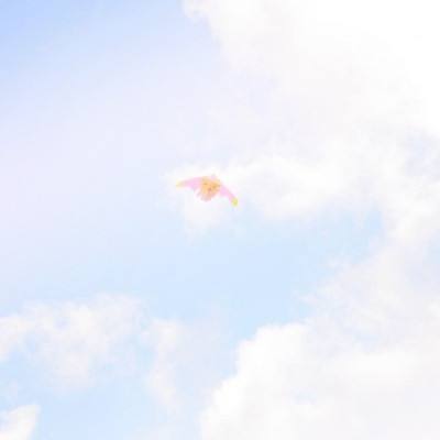 老虎下山手游下载